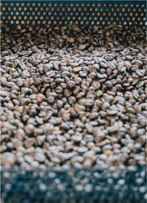 Coffee bean shade grown organic fair trade sumatra brazil africa espresso kenya sun dried coffee