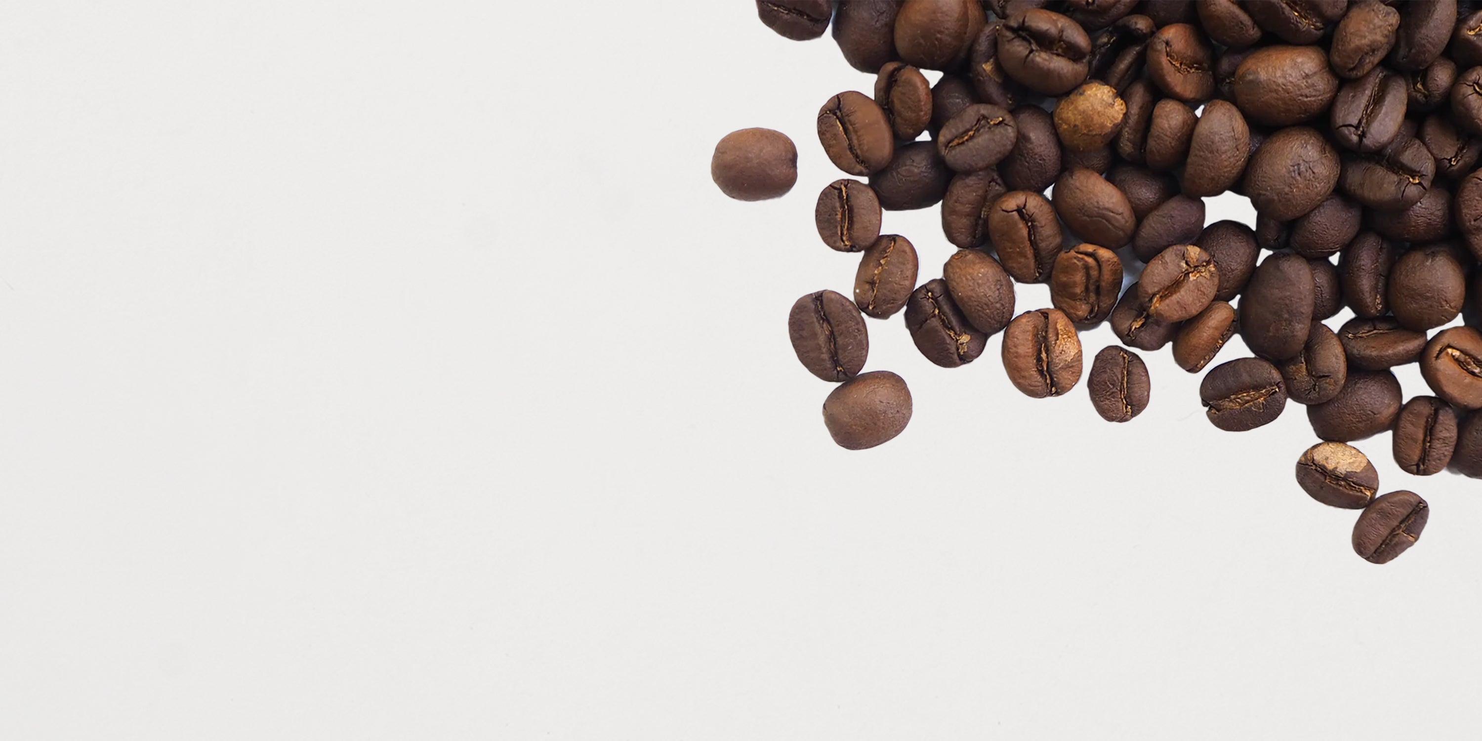 Karajoz Coffee New Zealand Small Batch Freshly Roasted Coffee Beans Plunger Espresso Source shade grown coffee
